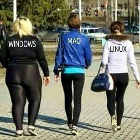 Windows、Mac、Linux 的背影